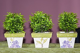 花盆,裝飾,人工