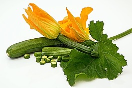 西葫芦,小胡瓜,壁球