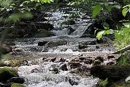 山流,溪,风景