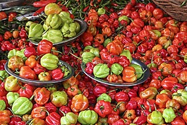 蔬菜,辣椒粉,紅色