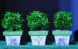 花盆,裝飾,人工