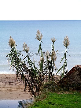海,性質(zhì),廠