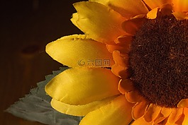 太阳花,面料花卉,黄色