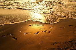 日落,海,海灘