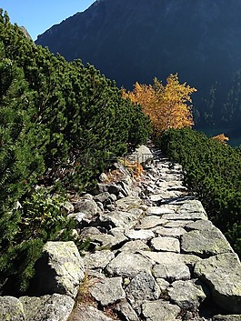 山,冬奧會,線索