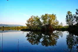 土耳其,性質(zhì),sakarya