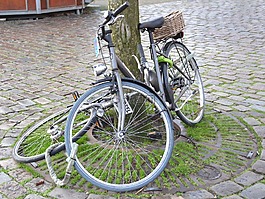 自行车,荷兰,旅行