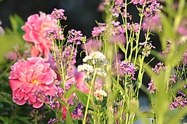 颜色,夏天,季节