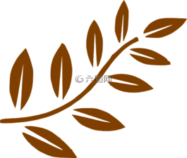 枝杈,葉子,棕色