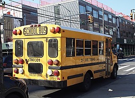 紐約,公共汽車