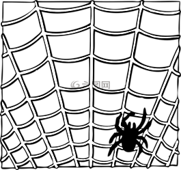 蜘蛛,web,昆蟲