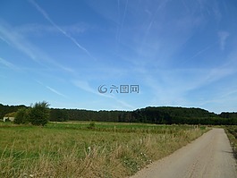 路徑,路,玫瑰