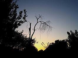 日落,軟,發(fā)光