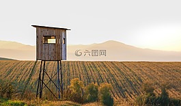 原野,住房,自然