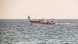 漁船,釣魚(yú),海