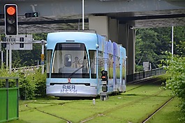 廣州,電車,白
