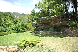 性質(zhì),綠色,葉
