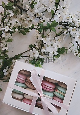 花,白,花瓣