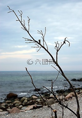 波羅的海,海,海岸
