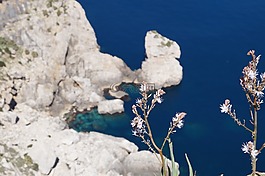 马洛卡,章 formentor,性质