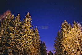 明星,夜晚的天空,景觀