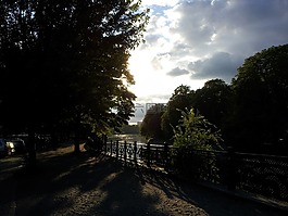 柏林,岸,樹