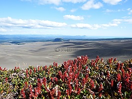 火山,山,嶺