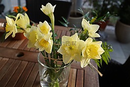 水仙,花,黃色