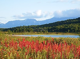 性質(zhì),景觀,山
