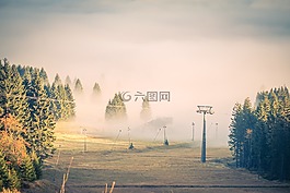 霧,云,樹