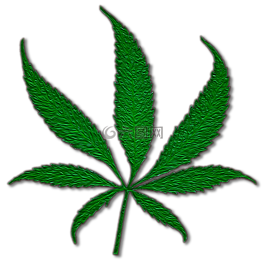 大麻,鍋,藥物