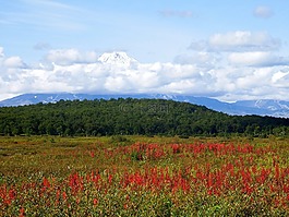 性質(zhì),景觀,山