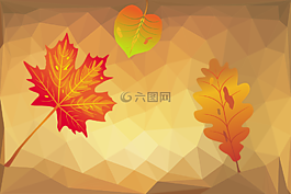秋季,葉子,多邊形