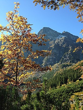 山,冬奧會,秋