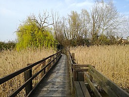 马拉诺湖,拉古那,威尼斯泻湖