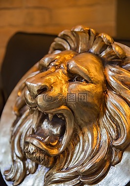 獅子,光,掩碼
