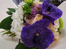 兰花,花束,蓝色