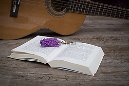 本書,教育,頁