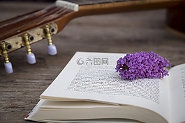 本書,教育,頁