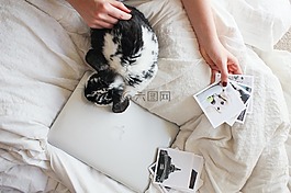 筆記本電腦,蘋果,macbook