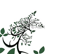 樹,葉子,分支機構(gòu)