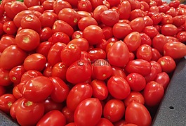 蕃茄,羅馬番茄,食品