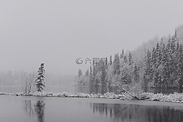 雪,冬天,性质