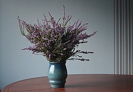 花瓶,石南属,花束
