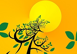 樹(shù),葉子,分支機(jī)構(gòu)