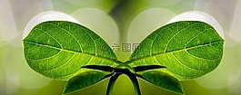 和諧,橫幅,符號(hào)