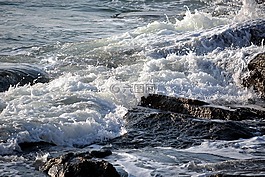 海,性質(zhì),海洋