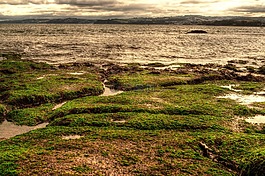 海邊,英格蘭,人類發(fā)展報告