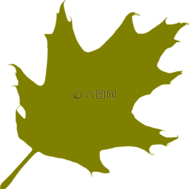 奧克,葉,綠色