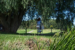 自行車,女子,公園